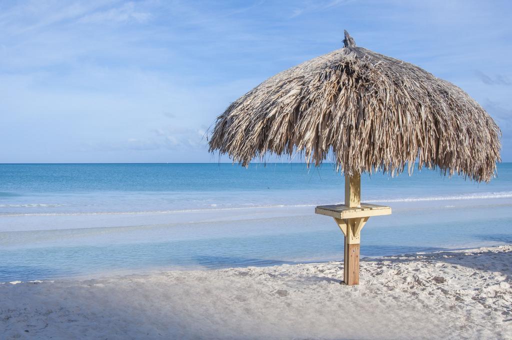 Family-Flexication-Friendly Villa, Few Steps From Eagle Beach Palm Beach Exterior foto