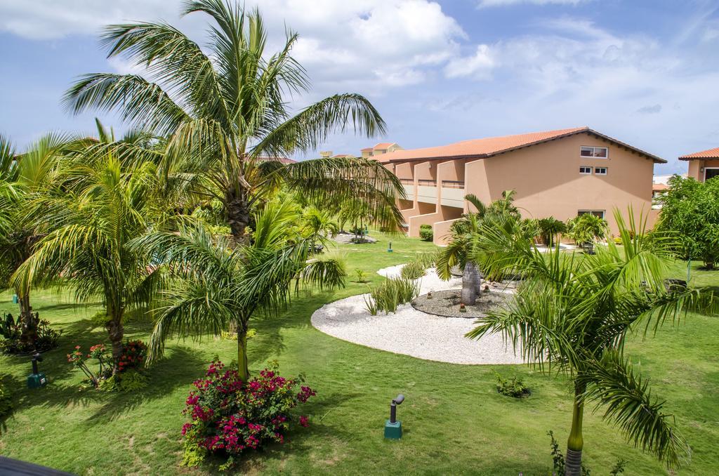 Family-Flexication-Friendly Villa, Few Steps From Eagle Beach Palm Beach Exterior foto