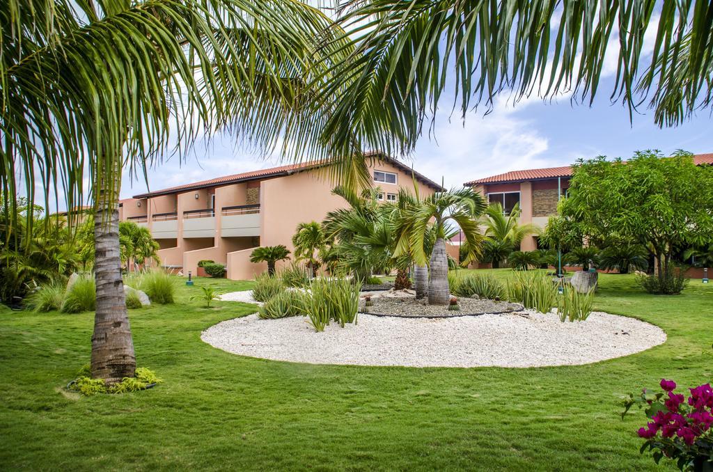 Family-Flexication-Friendly Villa, Few Steps From Eagle Beach Palm Beach Exterior foto